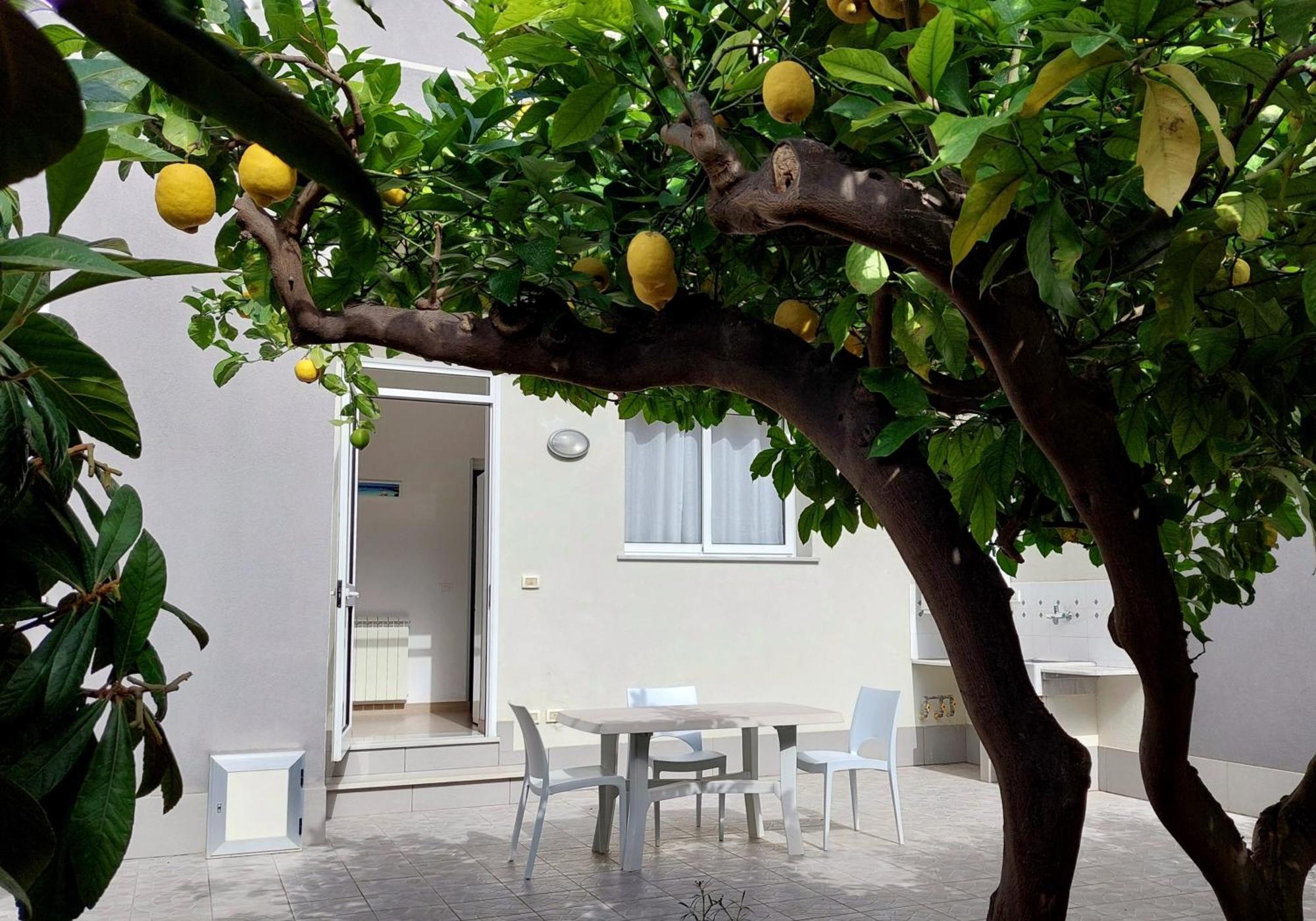 Casa Granata Ξενοδοχείο Τραπάνι Εξωτερικό φωτογραφία
